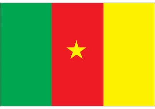 Official flag of Cameroon (ISO CM)