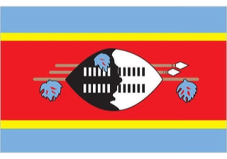 Official flag of Eswatini (ISO SZ)