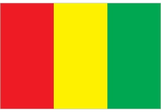 Official flag of Guinea (ISO GN)