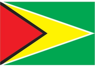 Official flag of Guyana (ISO GY)