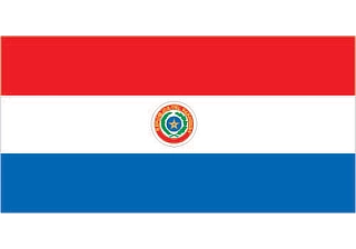 Official flag of Paraguay (ISO PY)