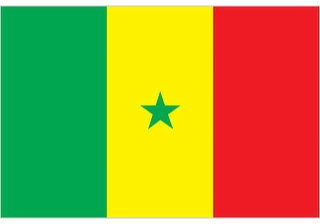 Official flag of Senegal (ISO SN)
