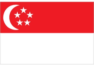 Official flag of Singapore (ISO SG)