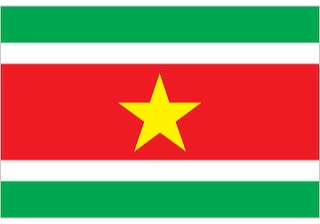 Official flag of Suriname (ISO SR)