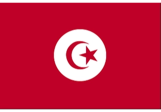 Official flag of Tunisia (ISO TN)