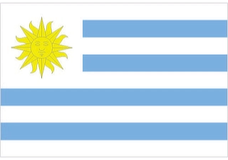 Official flag of Uruguay (ISO UY)