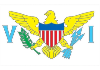 Official flag of US Virgin Islands (ISO VI)