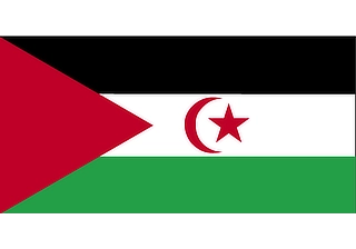 Official flag of Western Sahara (ISO EH)