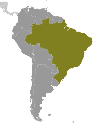 Brazil locator