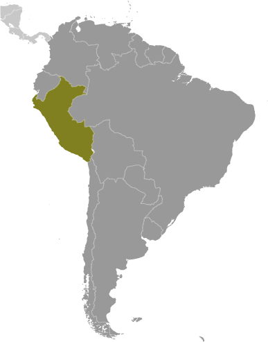 Peru locator