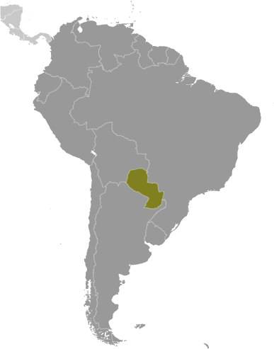 Paraguay locator